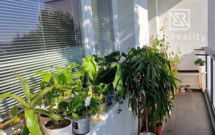 PREDANÉ - 3i byt Trebišovská Košice II, Terasa