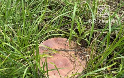 Stavebný pozemok 1756 m2 v obci Telkibánya, Maďarsko