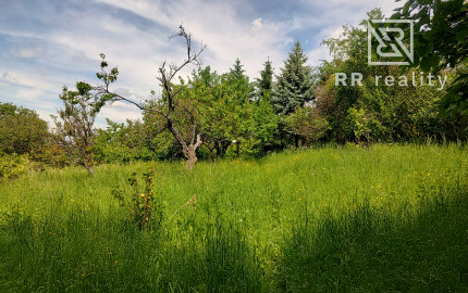 PREDANÉ - Nižná Myšľa pozemok 2664m2, budovy s úžitkovou výmerou 600m2