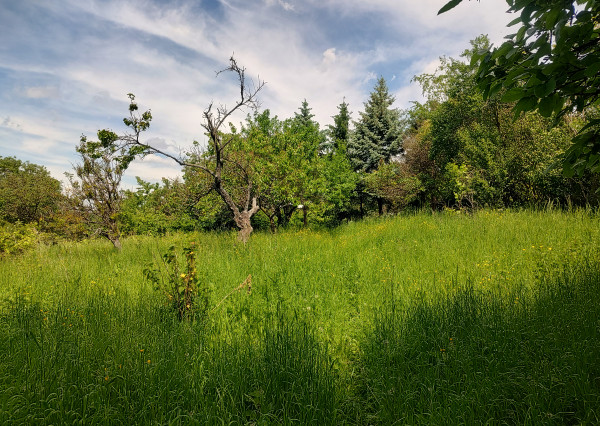 PREDANÉ - Nižná Myšľa pozemok 2664m2, budovy s úžitkovou výmerou 600m2