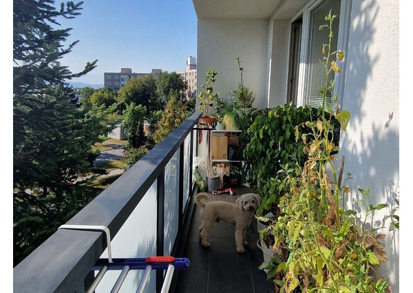 PREDANÉ - 3i byt Trebišovská Košice II, Terasa