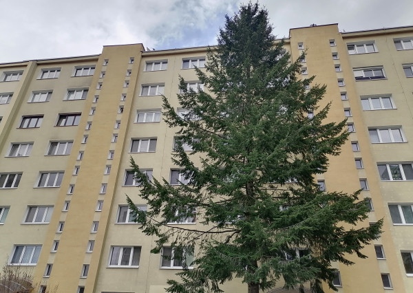 4 izbový byt Trieda SNP