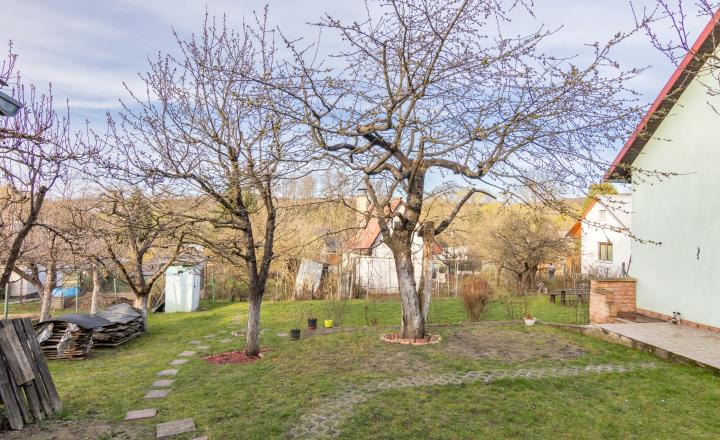 PREDANÉ - Záhrada s murovanou chatkou - Košické Oľšany - fotografia 11