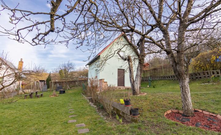 PREDANÉ - Záhrada s murovanou chatkou - Košické Oľšany - fotografia 12