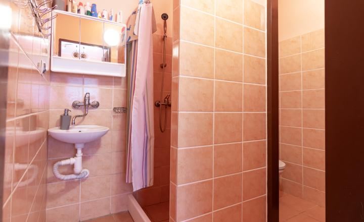 PREDANÉ - Záhrada s murovanou chatkou - Košické Oľšany - fotografia 9