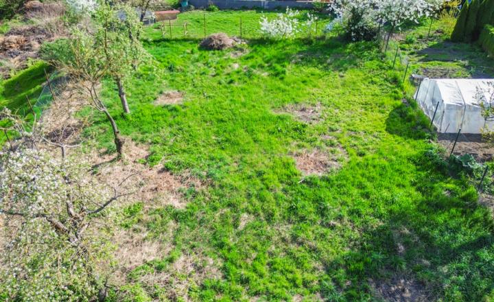 PREDANÉ - Pozemok Čaňa 600m2 , intravilán, IS k dispozícii - fotografia 2
