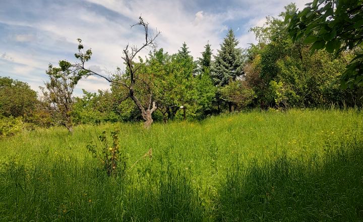PREDANÉ - Nižná Myšľa pozemok 2664m2, budovy s úžitkovou výmerou 600m2 - fotografia 13
