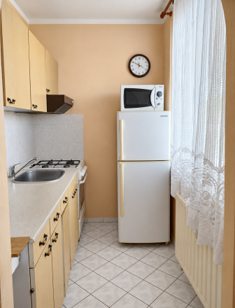 Na prenájom 1-izbový byt 28m2,  Košice - Juh, Turgenevova ul. - fotografia 4