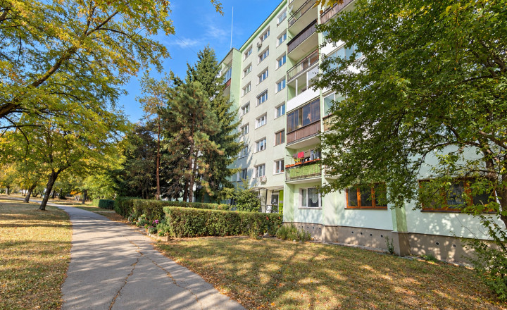 3i byt 68m2 + loggia, rekonštruovaný, Terasa - Šafárikova - fotografia 17