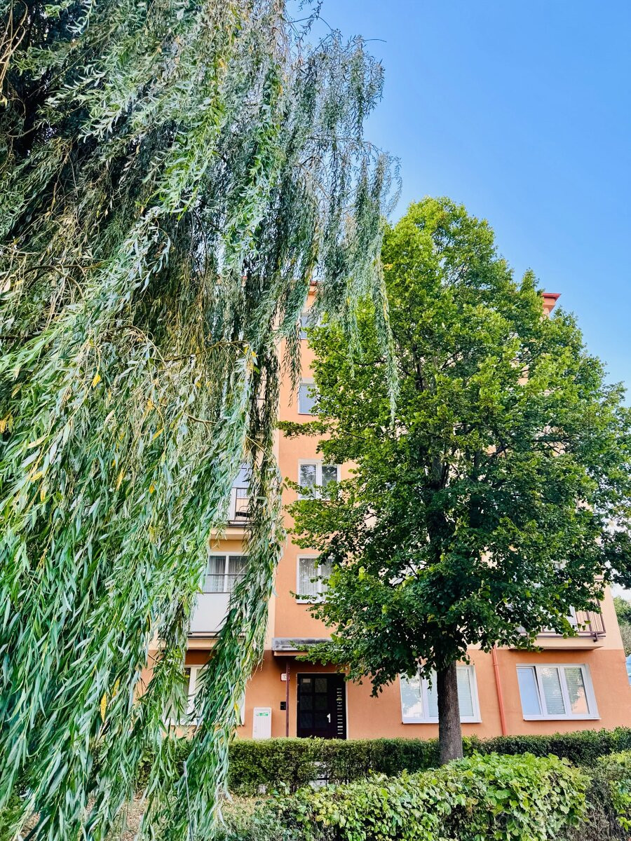 Krásny 2 izbový byt Podhradová